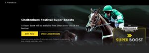 Cheltenham Betting Sites Promos