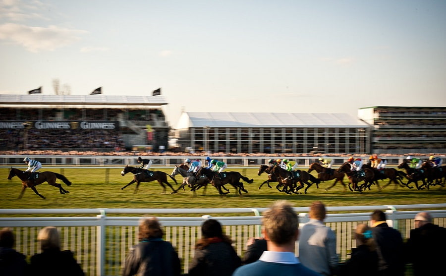 Cheltenham schedule