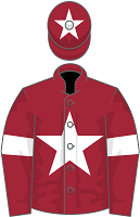 Gigginstown House Stud silks