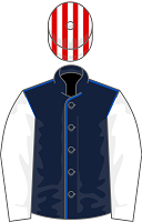 Harry Redknapp silks