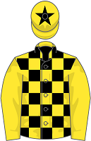 Joe Marie Donnelly silks