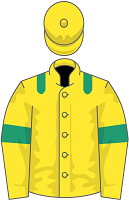 Kyntara silks