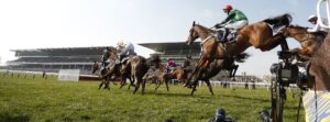 Cheltenham Festival Race Cards