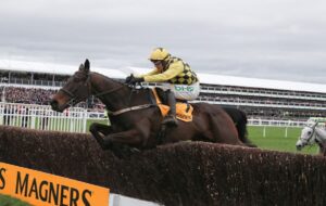 Cheltenham Winners Al Boum Photo