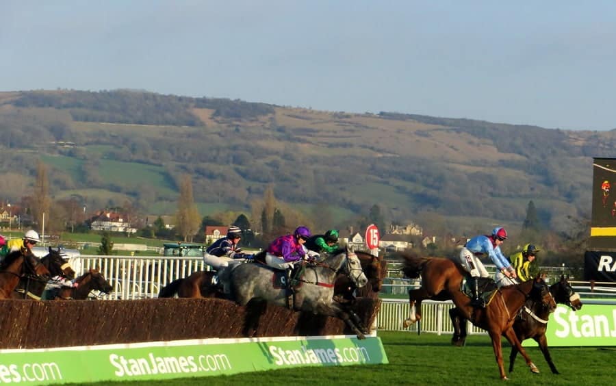 Cheltenham races today