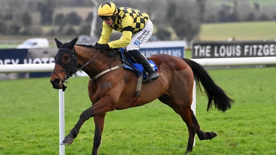 Salvator Mundi favourite for Supreme Novices Hurdle