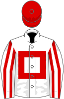 The Real Whacker silks