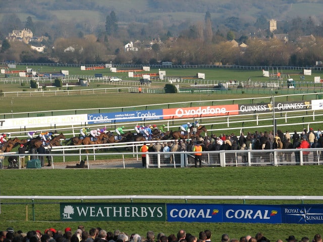 Cheltenham tips