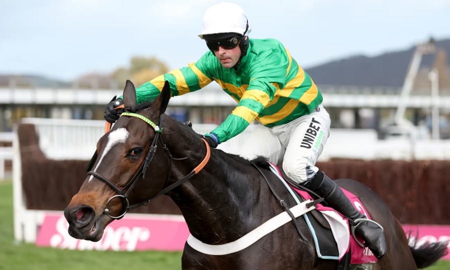 Jonbon among Cheltenham tips