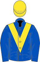 Sixandahalf silks