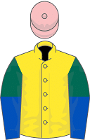 Catch Him Derry silks