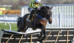 Triumph Hurdle 2025 Preview – Course Form of East India Dock & Potential of Lulamba on Display