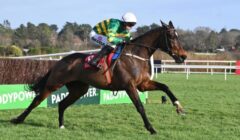 Ryanair Chase 2025 Preview – Last Year’s Festival Winners Fact To File & Protektorat in Stellar Field