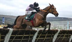 Stayers Hurdle 2025 Preview – Teahupoo Trying to Retain Title