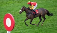 Chepstow Welsh Racing Festival 2025 Day 2 Preview – Native River Handicap Chase & Silver Trophy Top Saturday Card