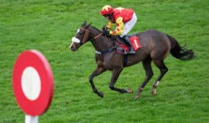 Chepstow Welsh Racing Festival 2025 day 2 preview includes Destroytheevidence