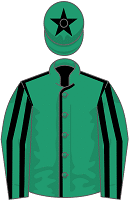 Hewick silks