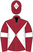 Riskintheground silks