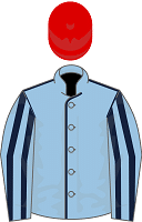 Somespring Special silks