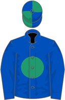 Williethebuilder silks