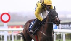 Fighting Fifth Hurdle 2025 Preview – Anzadam Steps up to Constitution Hill & The New Lion Challenge at Newcastle