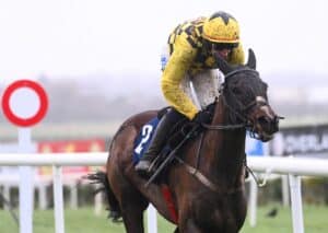 Fighting Fifth Hurdle 2025 preview includes Anzadam