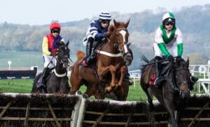 Greatwood Hurdle 2025 preview includes Celtic Dino & Alexei