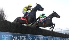 John Durkan Chase 2025 Preview – Fact To File Heads Mullins’ Magnificent 7 in Punchestown Feature