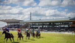 Fairyhouse Races Preview for 30 November – Superb Sunday at Winter Festival with Drinmore & Hatton’s Grace