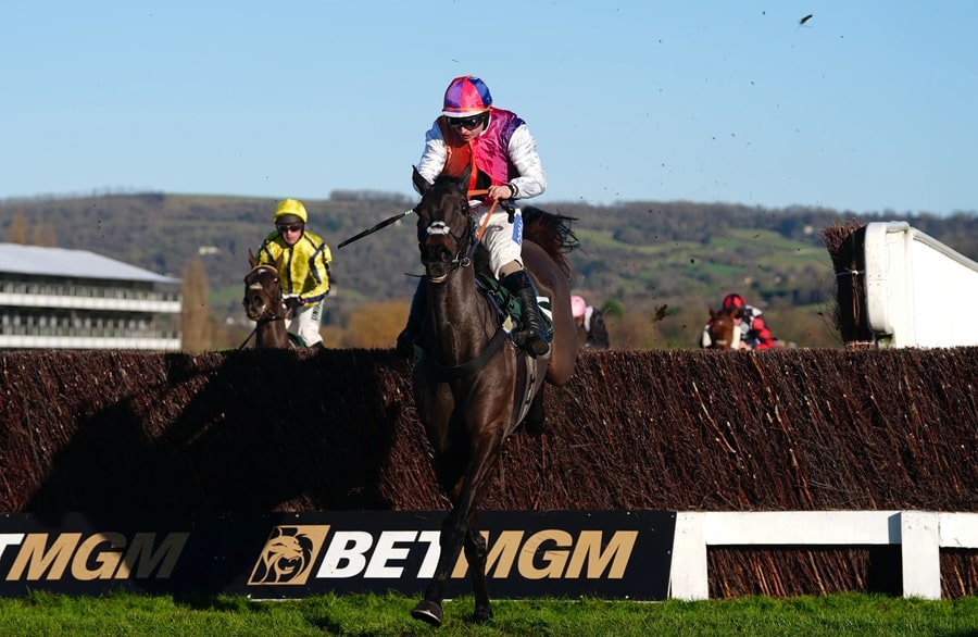 Betfair Chase 2025 preview includes Haiti Couleurs