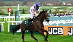 Paddy Power Gold Cup 2025 Preview – Skelton Could Run 3 in November Meeting Showpiece