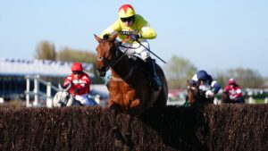 Haldon Gold Cup 2025 preview features Kalif Du Berlais