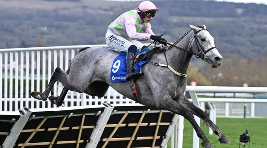 Morgiana Hurdle 2025 preview includes Lossiemouth