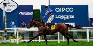 Ascot races preview for 22 November includes Pic D'Orhy