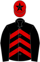 Affordale Fury silks