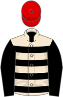 Altobelli silks