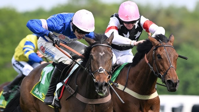 Kauto Star Novices' Chase 2025 preview includes Blueking d'Oroux and Salver