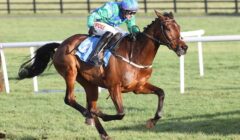 New Year’s Day Chase 2026 Preview – Champ Kiely, Croke Park & Heart Wood Meet in Tramore Feature