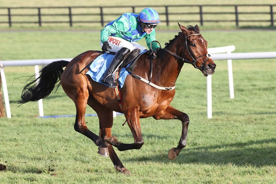 New Year's Day Chase 2026 preview includes Champ Kiely