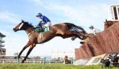 Betfair Exchange Handicap Chase 2026 Preview – December Gold Cup Hero Glengouly Back for More on New Year’s Day