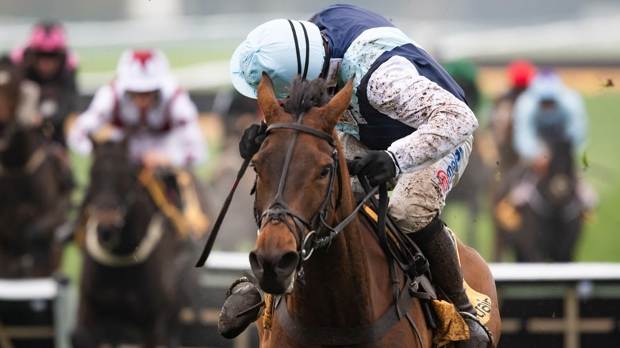 Cheltenham New Year's Day 2026 preview includes Kabral Du Mathan