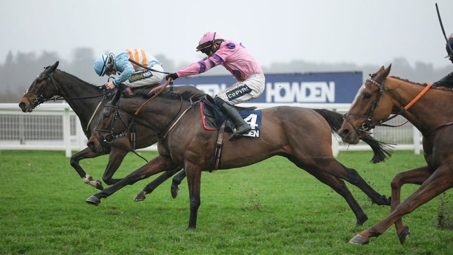 Long Walk Hurdle 2025 preview and runners guide