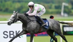 December Hurdle 2025 Preview – Brighterdaysahead Meets Lossiemouth in Leopardstown Clash