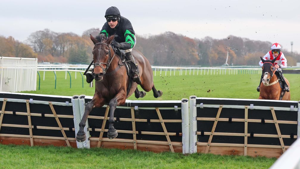 Formby Novices' Hurdle 2025 preview includes Mydaddypaddy
