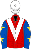 Noel Fehily Racing Syndicate silks