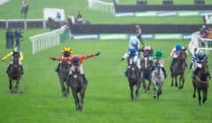 December Gold Cup 2025 Preview – Placed Horses from November Counterpart Back for More