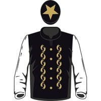 Raceshare silks