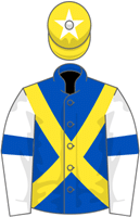 Rocky's Diamond silks