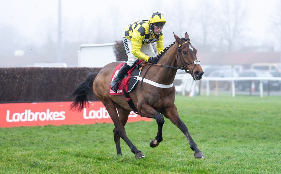 Kempton Christmas Hurdle 2025 preview includes Sir Gino