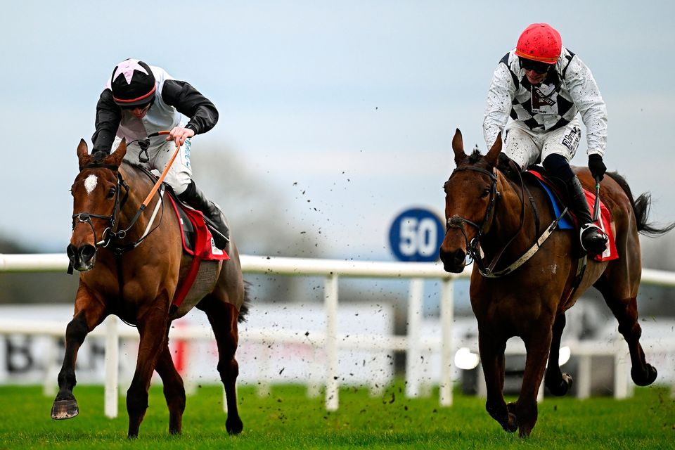 Leopardstown Christmas Hurdle 2025 preview includes Teahupoo & Ballyburn